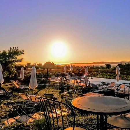Agriturismo Rosa Antica Monte San Vito Exteriér fotografie