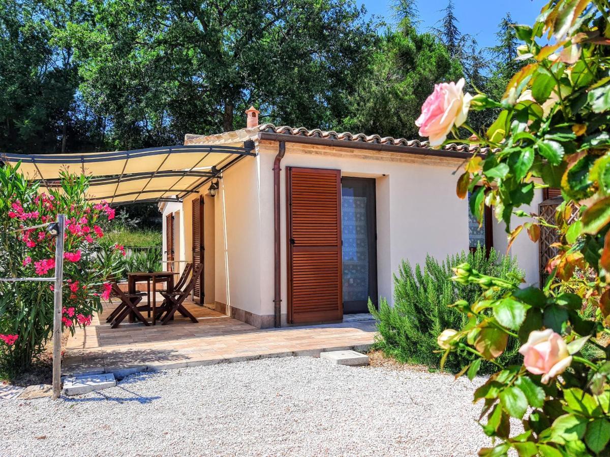Agriturismo Rosa Antica Monte San Vito Exteriér fotografie