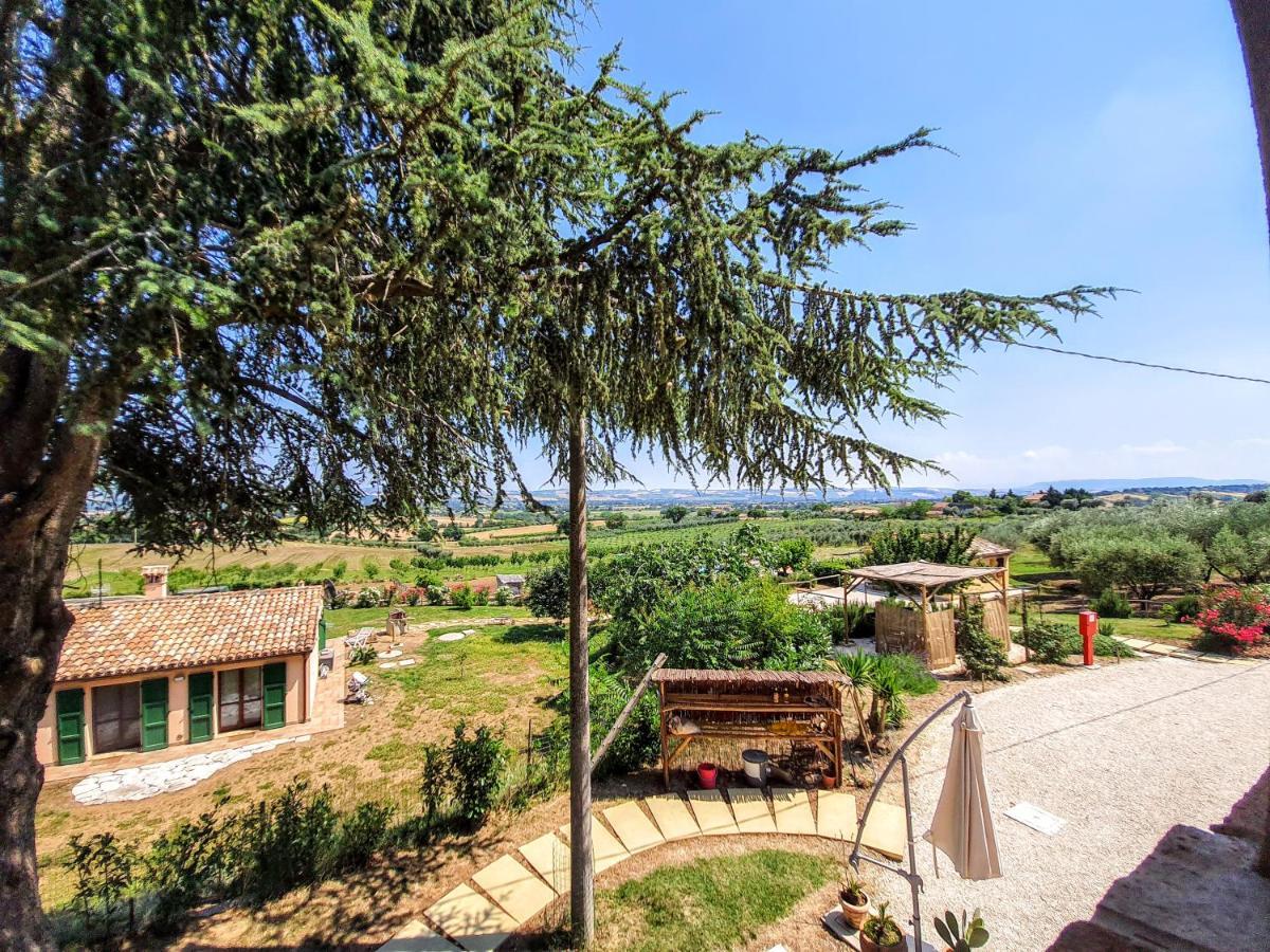 Agriturismo Rosa Antica Monte San Vito Exteriér fotografie