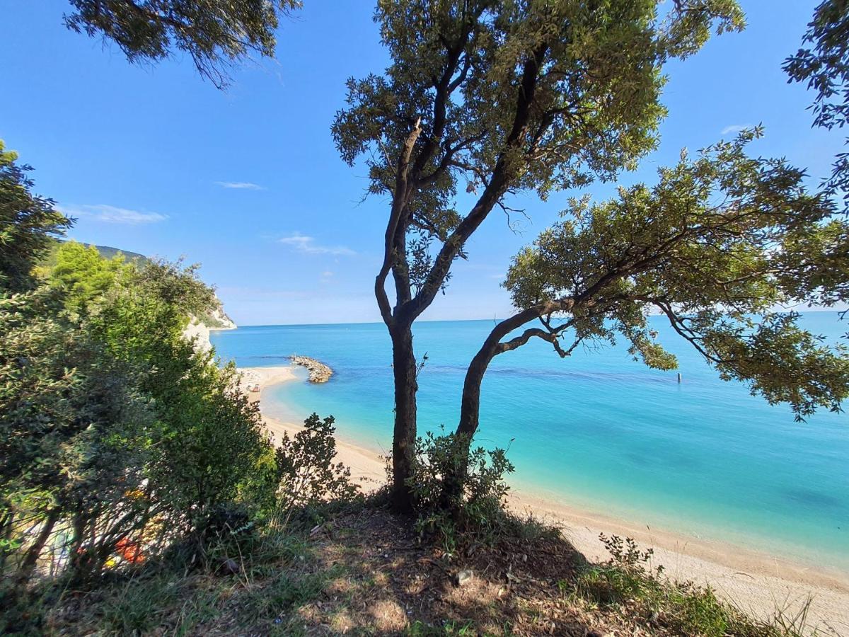 Agriturismo Rosa Antica Monte San Vito Exteriér fotografie