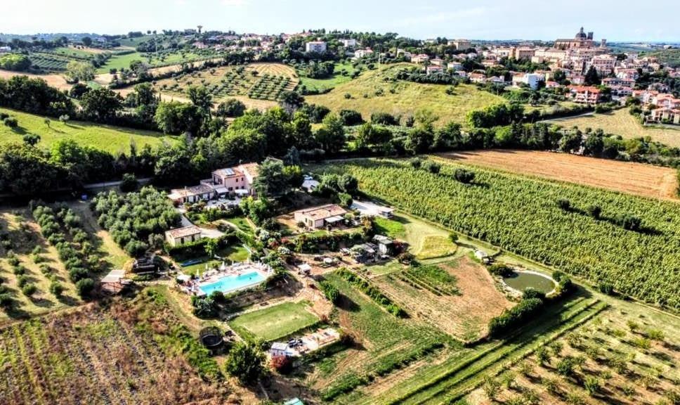 Agriturismo Rosa Antica Monte San Vito Exteriér fotografie