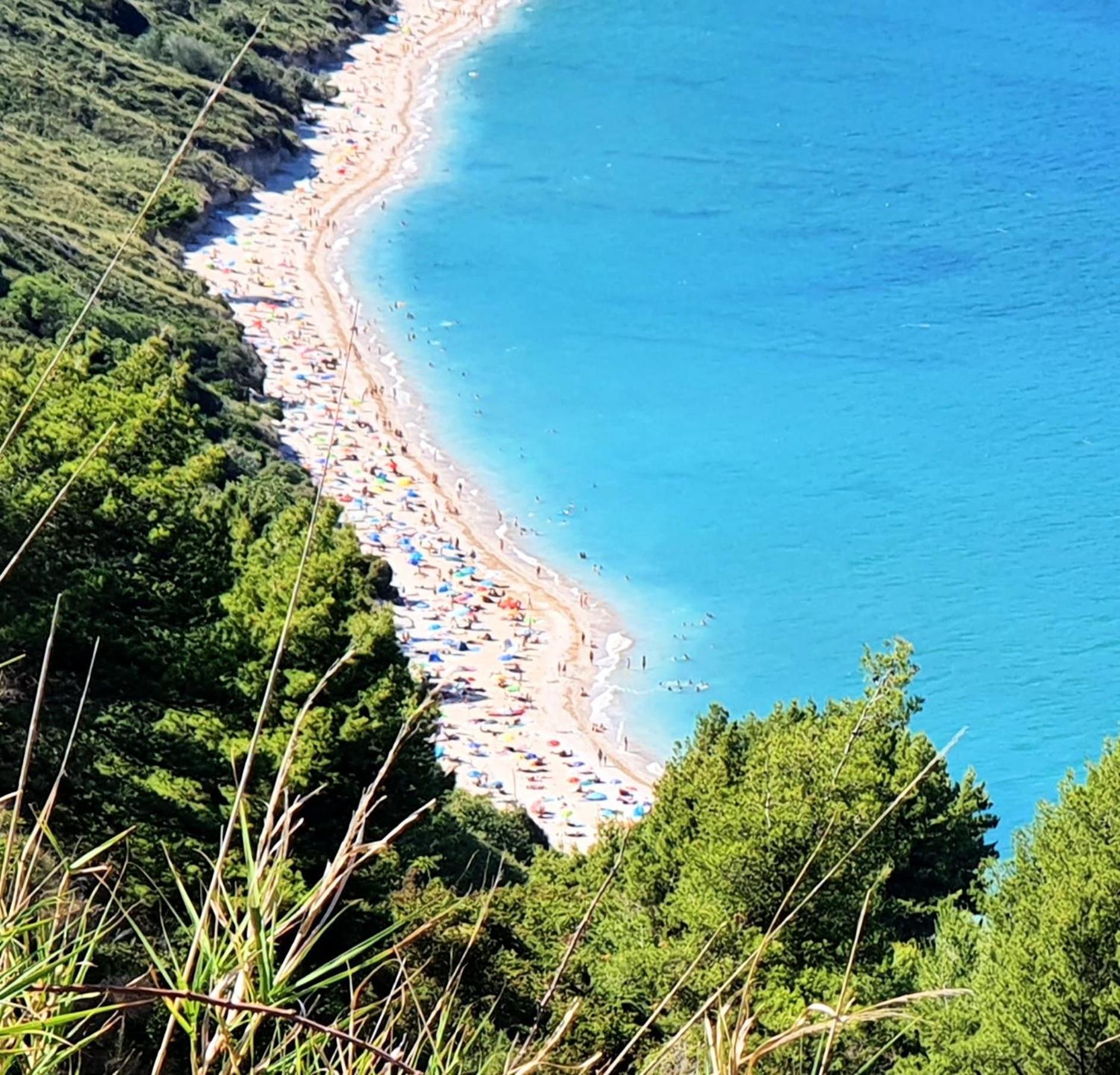 Agriturismo Rosa Antica Monte San Vito Exteriér fotografie