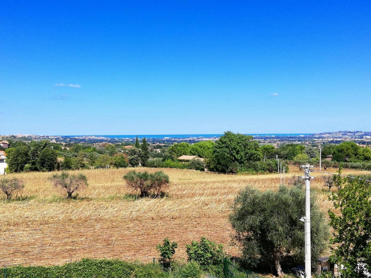 Agriturismo Rosa Antica Monte San Vito Exteriér fotografie