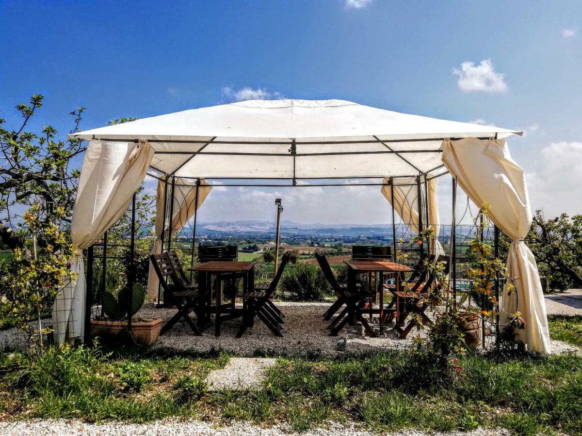 Agriturismo Rosa Antica Monte San Vito Exteriér fotografie
