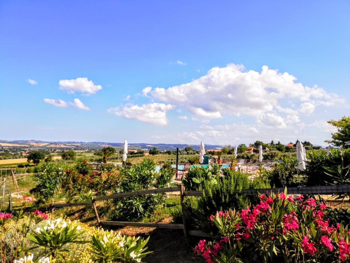Agriturismo Rosa Antica Monte San Vito Exteriér fotografie